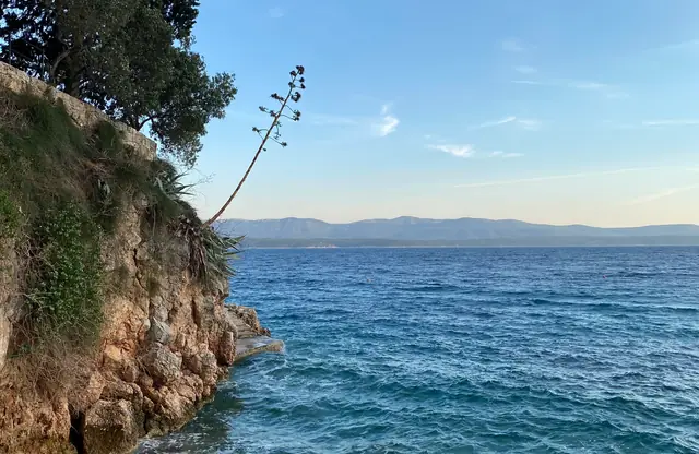 Split